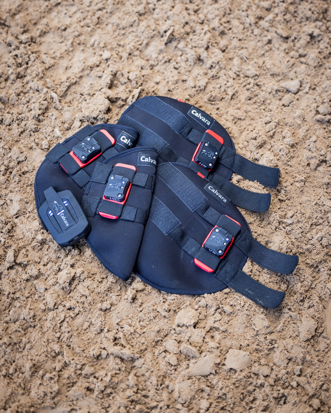CALVARA-Sensorgamaschen mit roten Bewegungssensoren liegen auf dem Sand eines Reitplatzes.