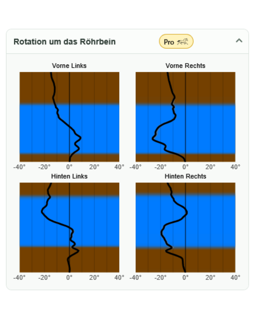 ALVARA-Diagramme zeigen die Rotation der Röhrbeine an allen vier Pferdebeinen.
