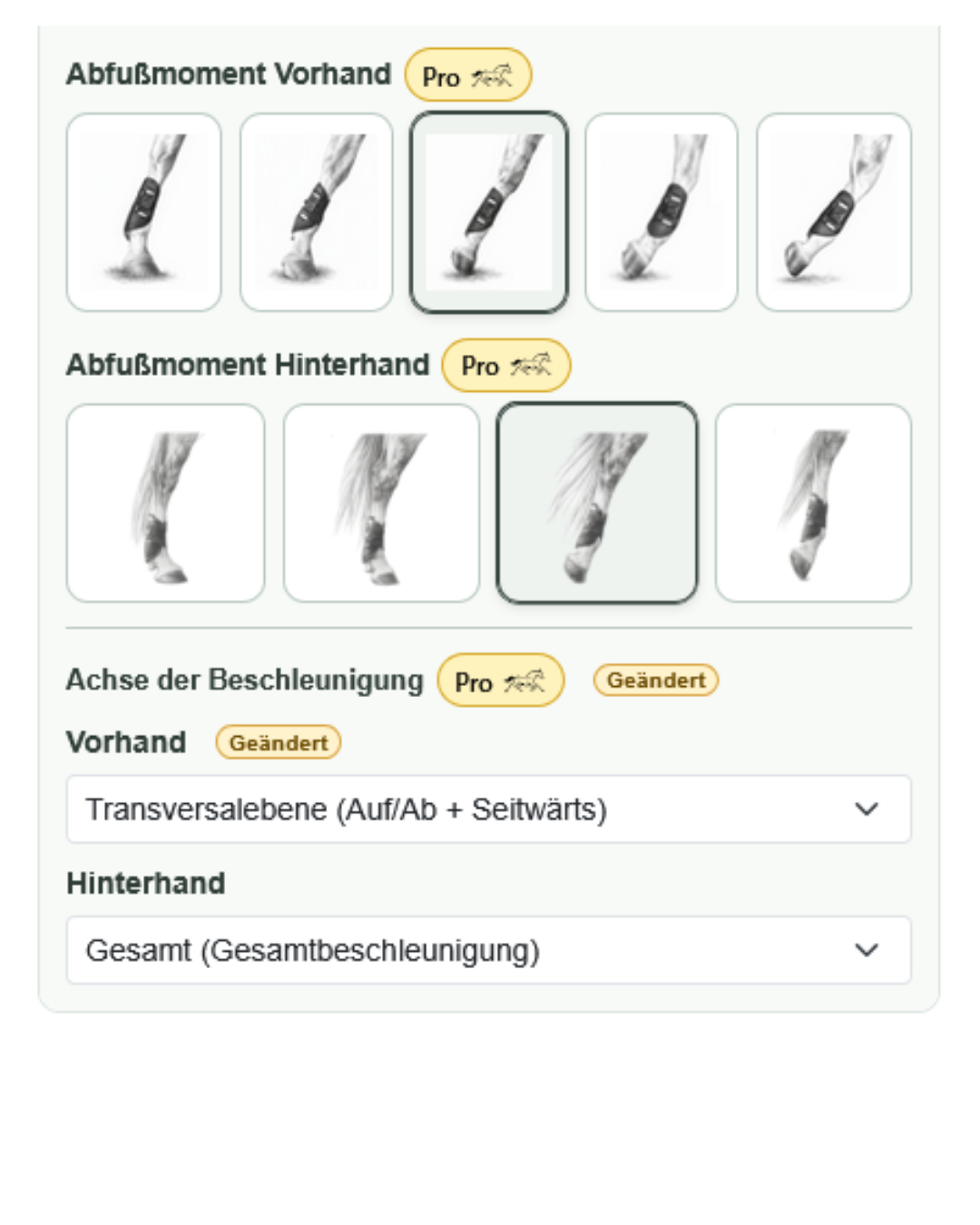 Detailansicht der CALVARA-Software mit Beinpositionen und Einstellungen zur Beschleunigungsanalyse.