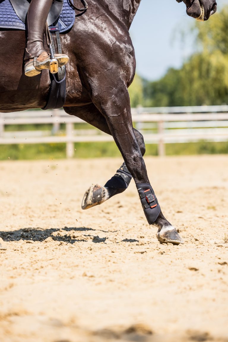 Vorderbeine eines gerittenen Pferdes in Bewegung mit befestigten CALVARA-Sensoren.